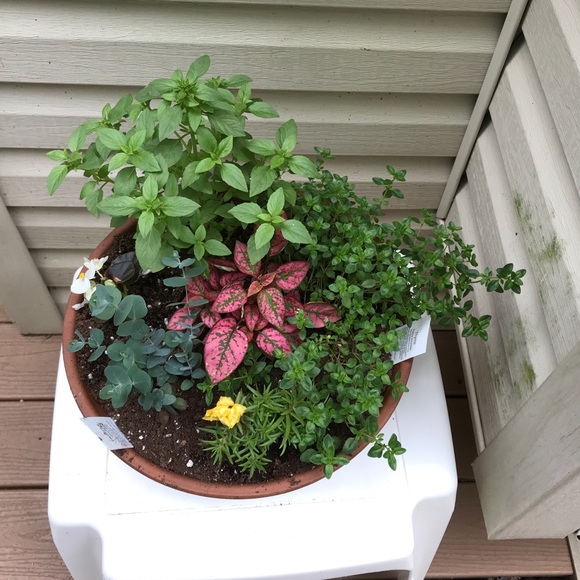 Meet your Posher, Jackie - Picture 1 of 2